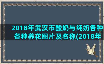 2018年武汉市酸奶与纯奶各种各种养花图片及名称(2018年武汉市社平工资)