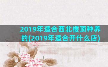 2019年适合西北楼顶种养的(2019年适合开什么店)