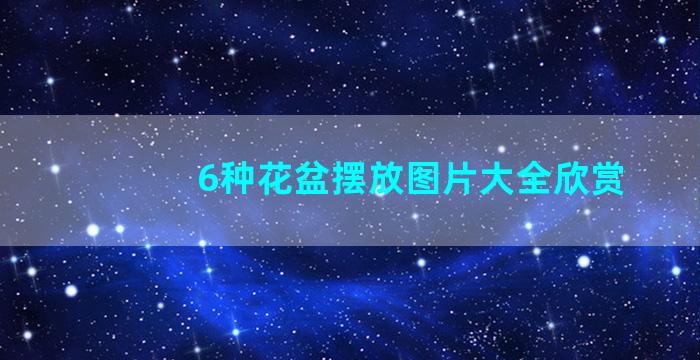 6种花盆摆放图片大全欣赏