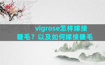 vigrose怎样嫁接睫毛？以及如何嫁接睫毛