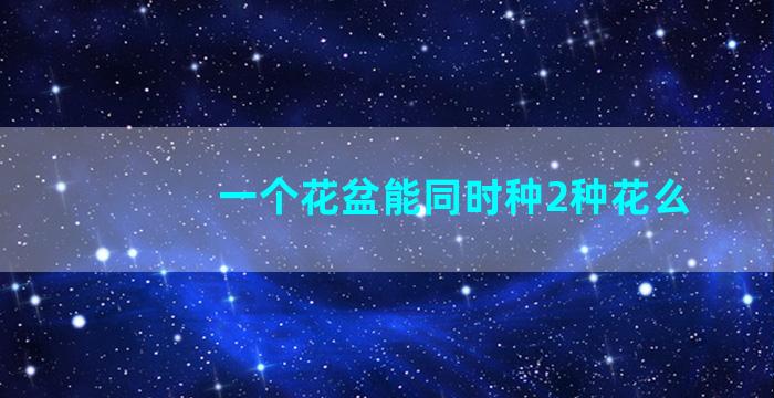 一个花盆能同时种2种花么