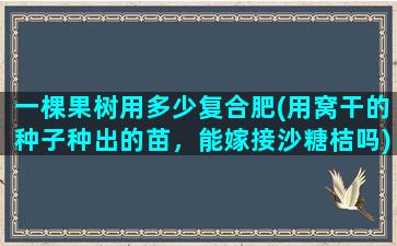 一棵果树用多少复合肥(用窝干的种子种出的苗，能嫁接沙糖桔吗)