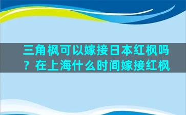 三角枫可以嫁接日本红枫吗？在上海什么时间嫁接红枫