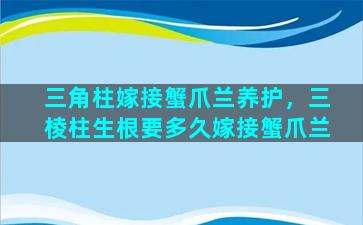 三角柱嫁接蟹爪兰养护，三棱柱生根要多久嫁接蟹爪兰