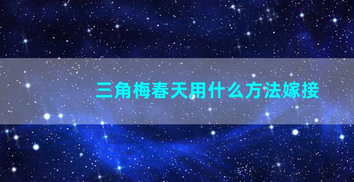 三角梅春天用什么方法嫁接