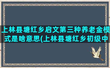 上林县塘红乡启文第三种养老金模式是啥意思(上林县塘红乡初级中学)