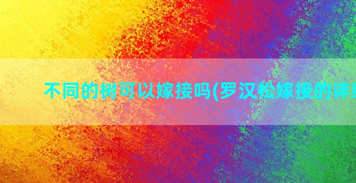 不同的树可以嫁接吗(罗汉松嫁接的详细方法)