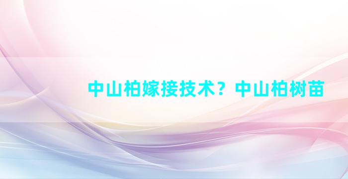 中山柏嫁接技术？中山柏树苗