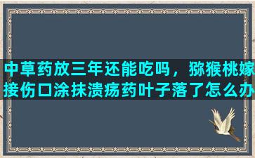 中草药放三年还能吃吗，猕猴桃嫁接伤口涂抹溃疡药叶子落了怎么办