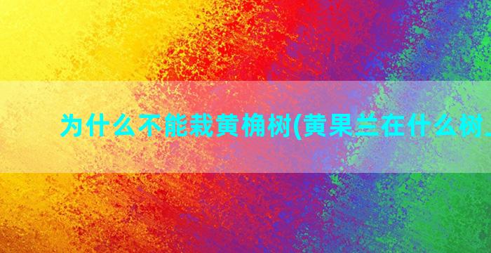 为什么不能栽黄桷树(黄果兰在什么树上嫁接)