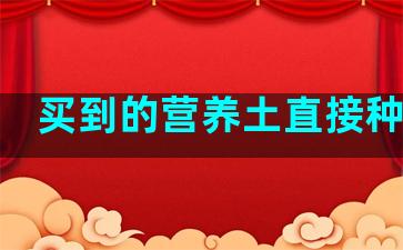 买到的营养土直接种花不