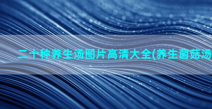 二十种养生汤图片高清大全(养生菌菇汤图片大全)