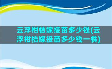 云浮柑桔嫁接苗多少钱(云浮柑桔嫁接苗多少钱一株)