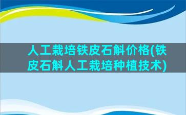 人工栽培铁皮石斛价格(铁皮石斛人工栽培种植技术)