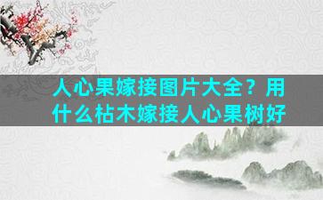 人心果嫁接图片大全？用什么枮木嫁接人心果树好