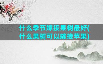 什么季节嫁接果树最好(什么果树可以嫁接苹果)