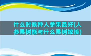 什么时候种人参果最好(人参果树能与什么果树嫁接)