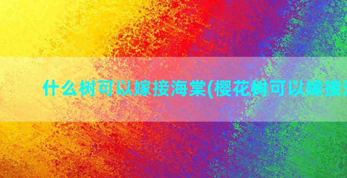 什么树可以嫁接海棠(樱花树可以嫁接海棠吗)