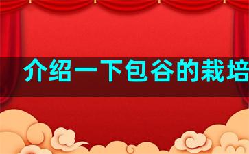 介绍一下包谷的栽培方法