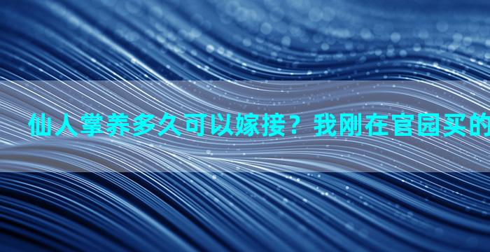 仙人掌养多久可以嫁接？我刚在官园买的彩色仙人球