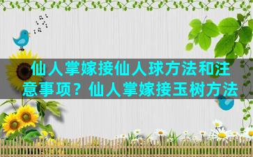 仙人掌嫁接仙人球方法和注意事项？仙人掌嫁接玉树方法