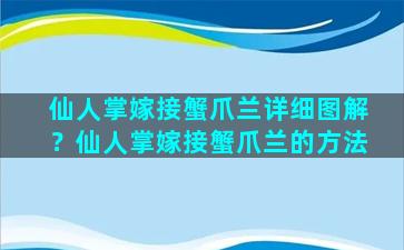 仙人掌嫁接蟹爪兰详细图解？仙人掌嫁接蟹爪兰的方法