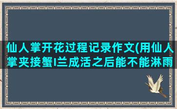 仙人掌开花过程记录作文(用仙人掌夹接蟹I兰成活之后能不能淋雨吗)