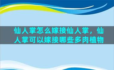 仙人掌怎么嫁接仙人掌，仙人掌可以嫁接哪些多肉植物