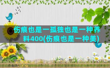 伤痕也是一孤独也是一种养料400(伤痕也是一种美)