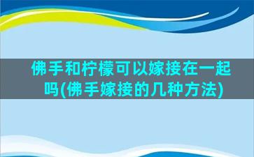 佛手和柠檬可以嫁接在一起吗(佛手嫁接的几种方法)