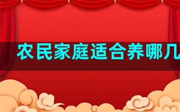 农民家庭适合养哪几种花