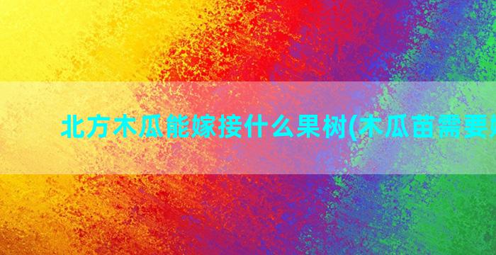 北方木瓜能嫁接什么果树(木瓜苗需要嫁接吗)