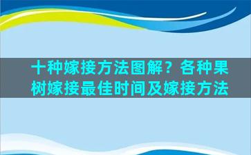 十种嫁接方法图解？各种果树嫁接最佳时间及嫁接方法