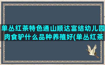 单丛红茶特色通山顺达富结幼儿园肉食驴什么品种养殖好(单丛红茶)