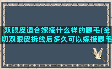 双眼皮适合嫁接什么样的睫毛(全切双眼皮拆线后多久可以嫁接睫毛)