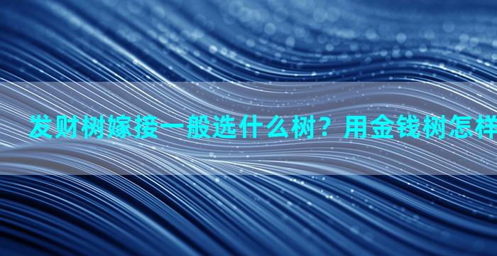 发财树嫁接一般选什么树？用金钱树怎样嫁接蟹爪兰