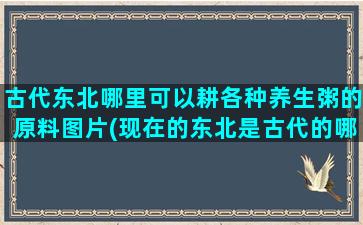 古代东北哪里可以耕各种养生粥的原料图片(现在的东北是古代的哪里)