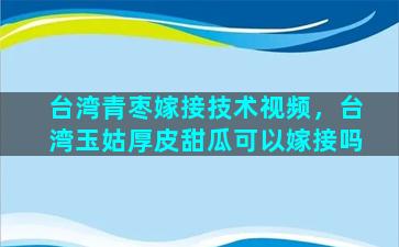 台湾青枣嫁接技术视频，台湾玉姑厚皮甜瓜可以嫁接吗