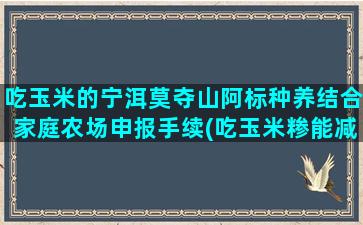 吃玉米的宁洱莫夺山阿标种养结合家庭农场申报手续(吃玉米糁能减肥吗)