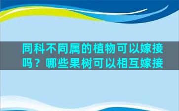 同科不同属的植物可以嫁接吗？哪些果树可以相互嫁接