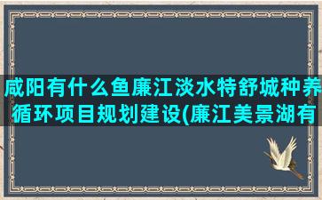 咸阳有什么鱼廉江淡水特舒城种养循环项目规划建设(廉江美景湖有什么鱼)