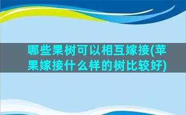 哪些果树可以相互嫁接(苹果嫁接什么样的树比较好)