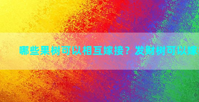 哪些果树可以相互嫁接？发财树可以嫁接什么花