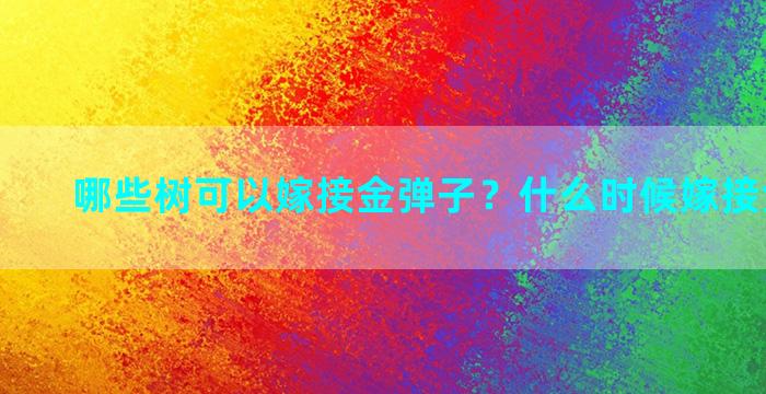 哪些树可以嫁接金弹子？什么时候嫁接金弹子好