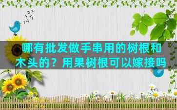 哪有批发做手串用的树根和木头的？用果树根可以嫁接吗