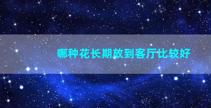 哪种花长期放到客厅比较好