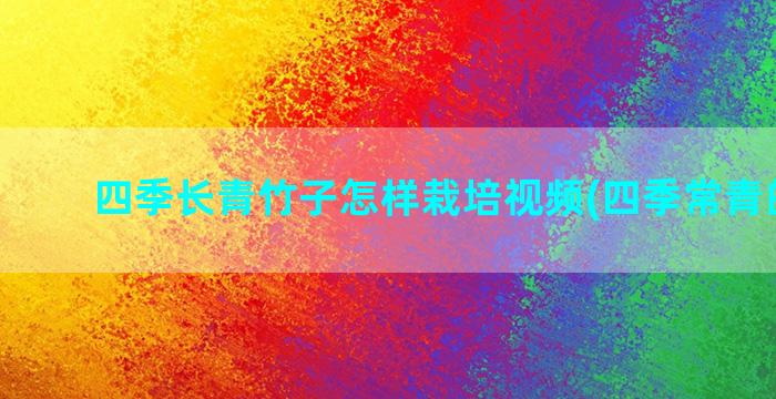 四季长青竹子怎样栽培视频(四季常青的竹子)