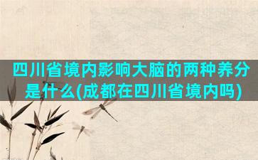 四川省境内影响大脑的两种养分是什么(成都在四川省境内吗)