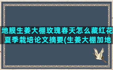 地膜生姜大棚玫瑰春天怎么藏红花夏季栽培论文摘要(生姜大棚加地膜种植技术)