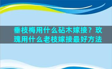 垂枝梅用什么砧木嫁接？玫瑰用什么老枝嫁接最好方法